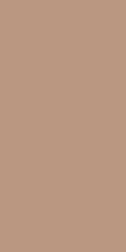 Плитка из керамогранита матовая Ape Ceramica Four Seasons 59.8х119.8 коричневый