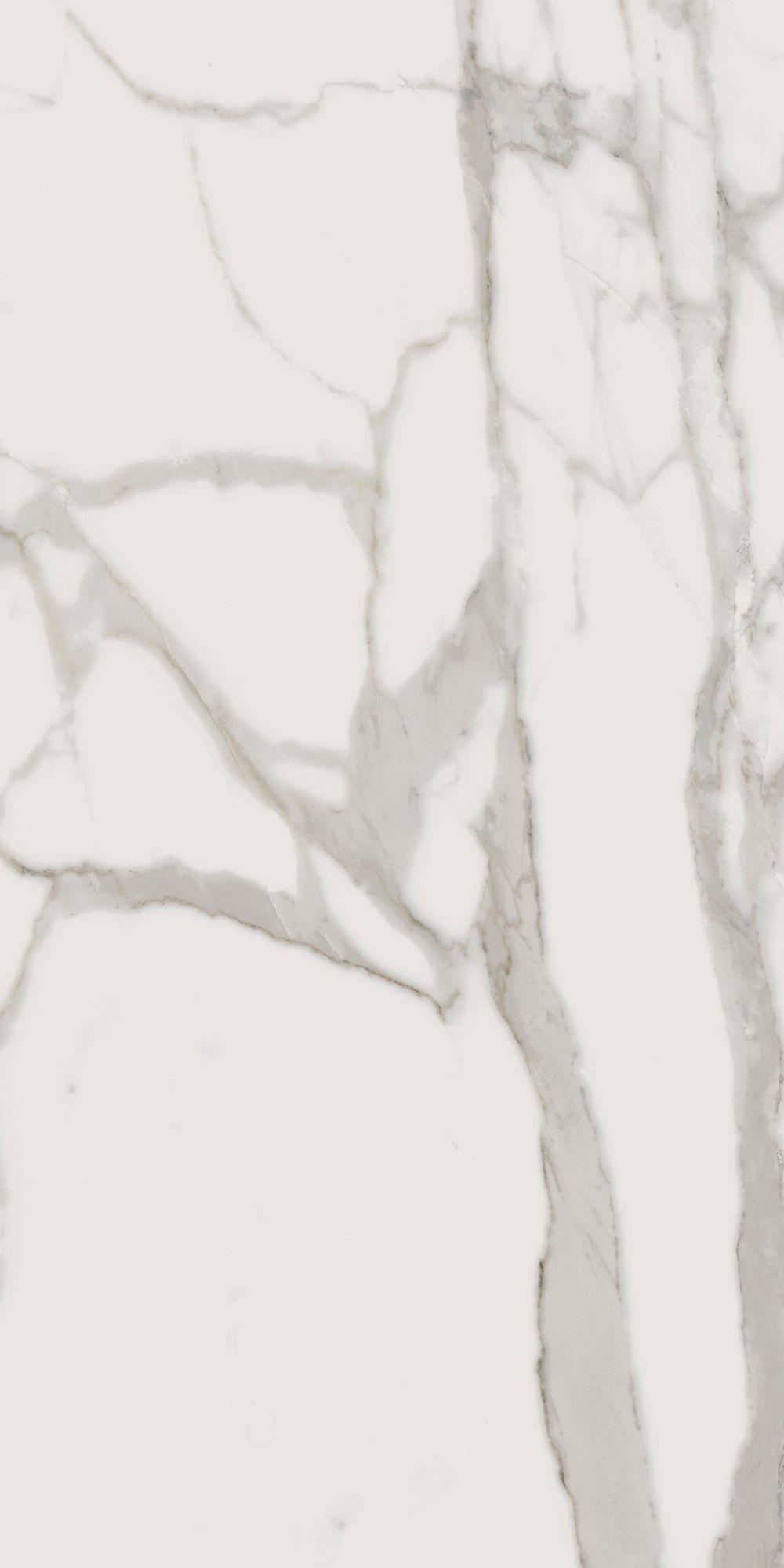 Плитка из керамогранита матовая Italon Шарм Эво 45x90 белый (610010000784)