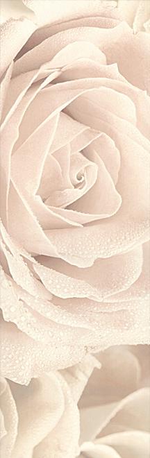 Керамическая плитка Kerama Marazzi Декор Роза 25х75