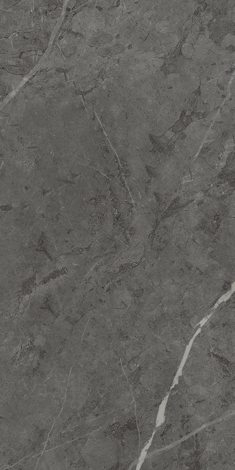Плитка из керамогранита матовая Italon Шарм Эво 60x120 серый (610010001414)