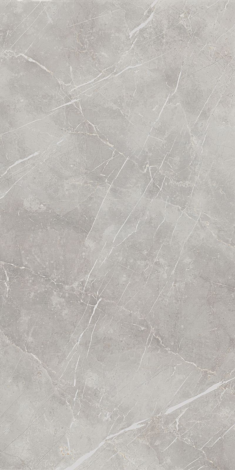 Плитка из керамогранита матовая Italon Шарм Эво 80x160 серый (610010001684) плитка из керамогранита матовая italon шарм эво 7 2x60 серый 610130000319