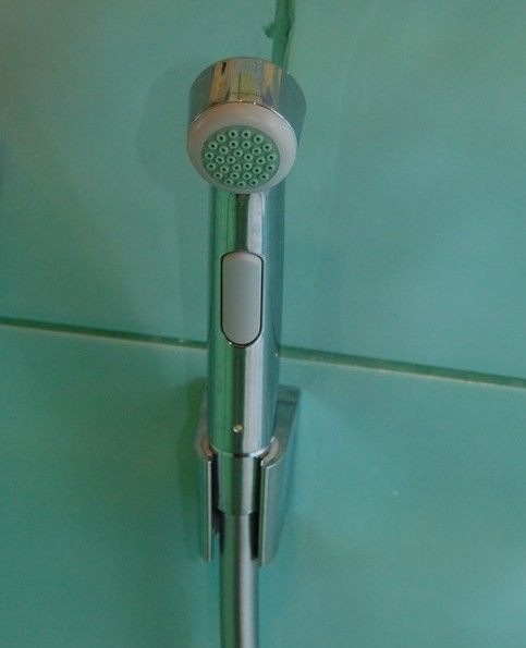 Гигиенический душ Hansgrohe 32129000