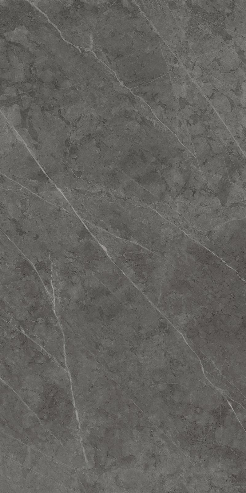 Плитка из керамогранита матовая Italon Шарм Эво 80x160 серый (610010001685) плитка из керамогранита матовая italon шарм экстра 80x160 серый 610010001689