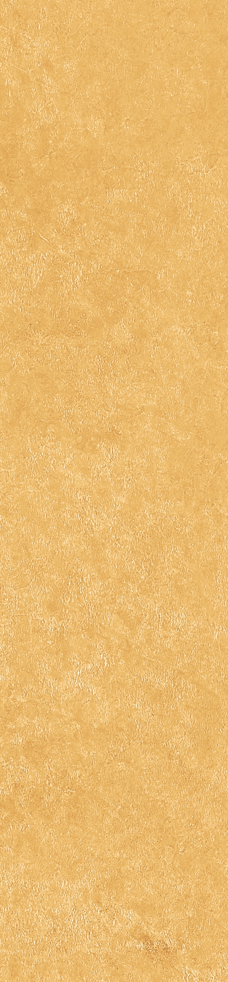 Керамогранит Scs Spectra Mustard 5,8х25 - изображение 2