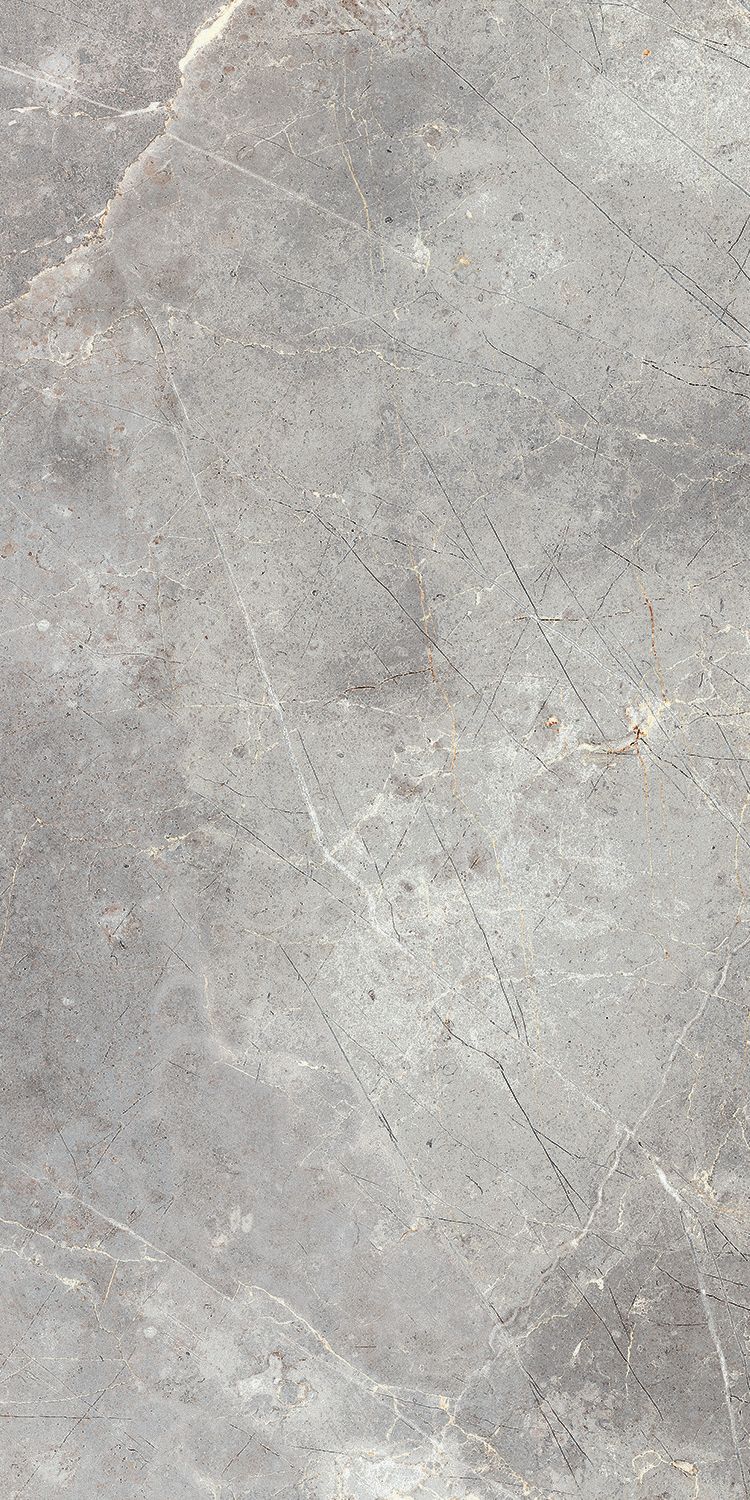 Плитка из керамогранита глянцевая Italon Шарм Эво 60x120 серый (610015000405)