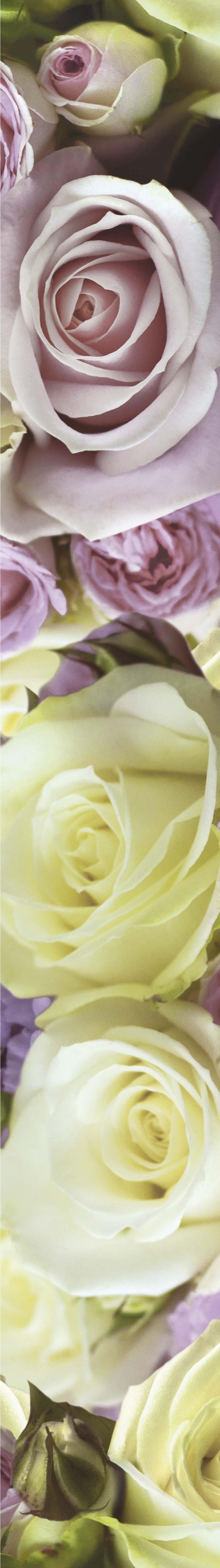 Бордюр Роза 7х50 роза бордюр абрико дельбар