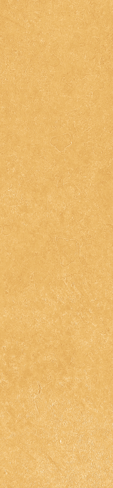 Керамогранит Scs Spectra Mustard 5,8х25 - изображение 7