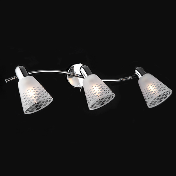 Настенный светильник с плафонами Eurosvet Organic 20053/3 4690389100215