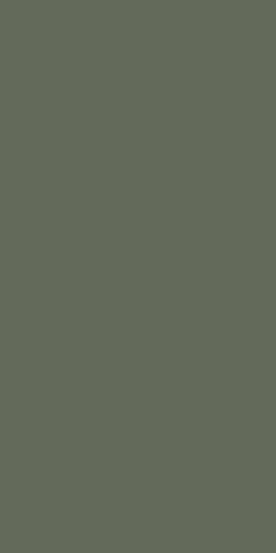 Плитка из керамогранита матовая Ape Ceramica Four Seasons 59.8х119.8 зеленый