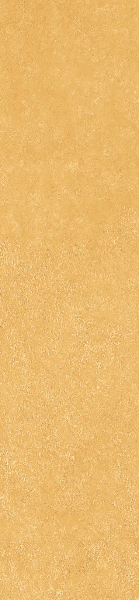 Керамогранит Scs Spectra Mustard 5,8х25 - изображение 5