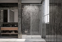 Душевая дверь Veconi Premium Trento PTD-40GR, 120х200, брашированный графит, стекло прозрачное1