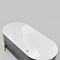 Акриловая ванна 170х78 см Black&White Swan SB310 Grey матовая серая / глянцевая белая - изображение 3