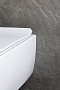 Унитаз подвесной безободковый Allen Brau Liberty 4.33007.21 белый матовый - изображение 20