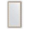 Зеркало в багетной раме Evoform Definite BY 1050 51 x 101 см, мельхиор 