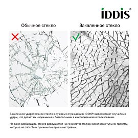 Душевая перегородка IDDIS 110x195 (SLI8GS1i23)