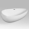 Акриловая ванна 170х95 см Black&White Swan SB 227 227SB00 белый глянцевый - изображение 4