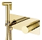 Гигиенический душ Boheme Stick 127-GG со смесителем, gold diamond gold 