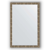 Зеркало в багетной раме Evoform Exclusive BY 1216 113 x 173 см, серебряный бамбук