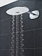 Верхний душ Grohe Rainshower SmartControl Duo 26254LS0 белая луна - изображение 3