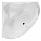 Акриловая ванна Vagnerplast IRIS 143x143