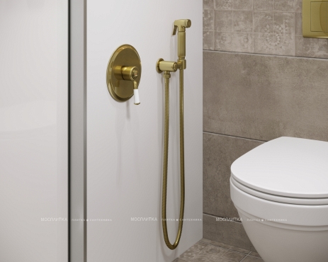 Гигиенический душ со смесителем Timo Arisa 5309/02SM бронза - 4 изображение