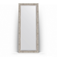 Зеркало в багетной раме Evoform Exclusive Floor BY 6118 81 x 201 см, римское серебро