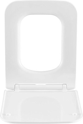 Крышка-сиденье для унитаза Allen Brau Liberty 4.33008.21 с микролифтом, белая матовая