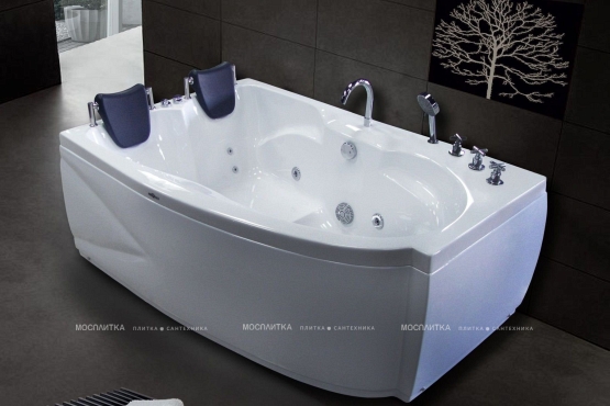 Акриловая ванна Royal Bath Shakespeare 170х110 RB652100K-L - 3 изображение