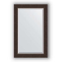 Зеркало в багетной раме Evoform Exclusive BY 1134 51 x 81 см, палисандр