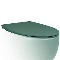Крышка-сиденье SoftClose AeT Dot 2.0 для унитаза c микролифтом зеленый мох матовый C555R1431