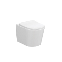 Унитаз подвесной безободковый Idrico Element 5.0 1005-5.0-ElW с крышкой-сиденьем микролифт, белый глянец