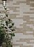 Керамическая плитка Kerama Marazzi Плитка Брюссель бежевый матовый 6х28,5 - 3 изображение