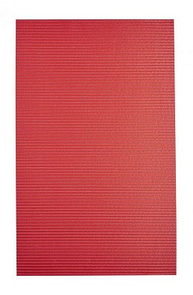 Коврик Ridder Standard 1100306 50x80 см, красный