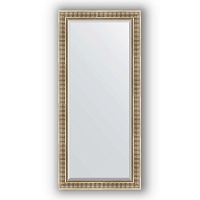Зеркало в багетной раме Evoform Exclusive BY 1308 77 x 167 см, серебряный акведук