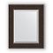 Зеркало в багетной раме Evoform Exclusive BY 1356 41 x 51 см, палисандр 
