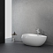 Акриловая ванна 170х95 см Black&White Swan SB 227 227SB00 белый глянцевый - изображение 7