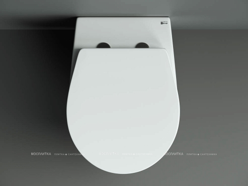 Комплект подвесной безободковый унитаз Ceramica Nova Pearl с крышкой-сиденьем CN8001 + инсталляция Geberit Delta 458.163.21.1 с панелью смыва, хром глянцевый - 5 изображение