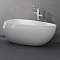 Акриловая ванна 170х95 см Black&White Swan SB 227 227SB00 белый глянцевый - 6 изображение