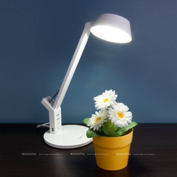 Настольная лампа Eurosvet Slink 80426/1 4690389168512 - 5 изображение