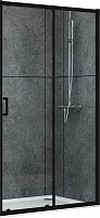 Душевая дверь 170 см Abber Schwarzer Diamant AG30170B стекло прозрачное, профиль черный