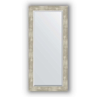 Зеркало в багетной раме Evoform Exclusive BY 1149 51 x 111 см, алюминий