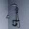 Душевая стойка RGW Shower Panels 51140135-04 11 черный