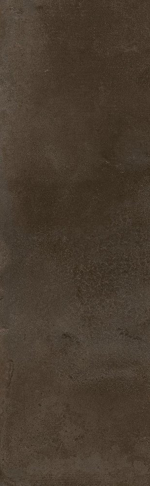 Керамическая плитка Kerama Marazzi Плитка Тракай коричневый темный глянцевый 8,5х28,5 
