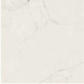 Керамогранит Victorian Marble White 7FLPR 60х60