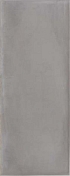 Керамическая плитка Argenta Плитка Camargue Plomo 20x50 