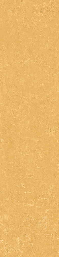 Керамогранит Simpolo  Scs Spectra Mustard 5,8х25