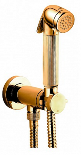 Гигиенический душ Bossini Nikita Mixer Set E37008.021, золото