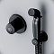Гигиенический душ Am.Pm X-Joy F40P85A22 со смесителем, матовый черный - 4 изображение