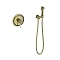 Гигиенический душ со смесителем Timo Arisa 5309/02SM бронза - 2 изображение