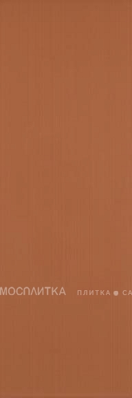 Плитка Colourline Orange 22х66,2